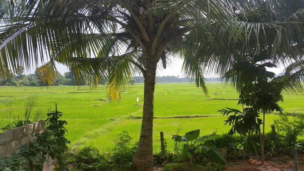 Hotel Serene View Tourist Rest Anuradhapura Exterior foto